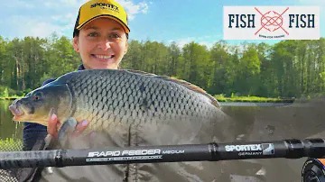 ОГЛЯД ФІДЕРА SPORTEX RAPID FEEDER від Ольги Кубанської