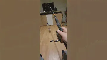 Wft Big Cat Vertical spin