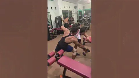 Binaraga Gym Sport BodyBuilder 336