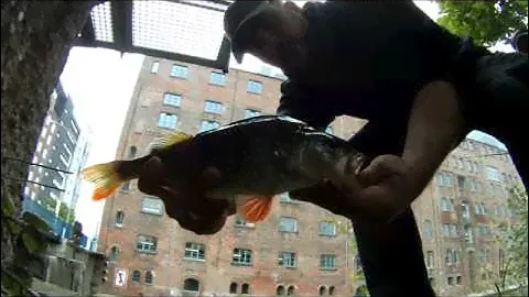 SPORTEX Opal Drop Shot in Hamburg im Einsatz