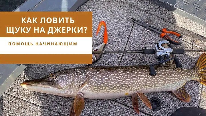 Как ловить щуку на джерки? Помощь начинающим.