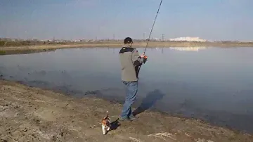 Обзор удилища Sportex Catapult Carp 13ft 3,5lb