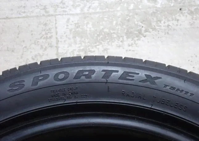 Triangle Sportex TSH11 245/45 R19 102Y-3