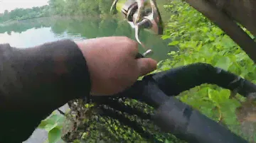 84cm pike from a deep gravelpit