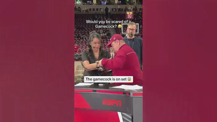 Would you be scared of a Gamecock? 😂 #collegebasketball #ncaabasketball #espn #gamecocks