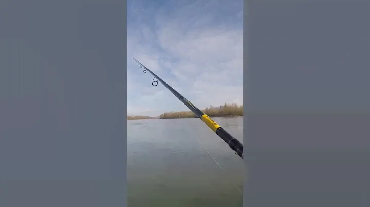 новый спиннинг.sportex . #франция #daiwa #рейн