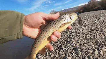 GoFishing закрывает сезон на Сусамыре. Ловим дикую форель на спиннинг. Рыболовный тур.