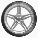 215/55 R16 97W Triangle SporteX TH201 XL