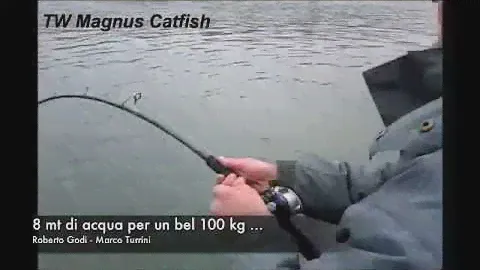 TW Magnus Catfish: recensione