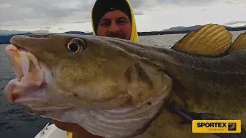SPORTEX Magnus Boat & Jigging series