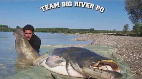 combat whit a big catfish 7 feet - 200 LBS in River Po by Team Siluro River Po