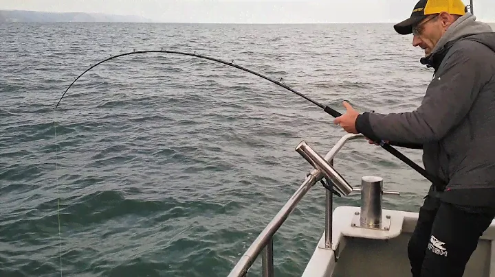 Gråhaj på Sportex Magnus Jigging 7' 30 lb 4 delt