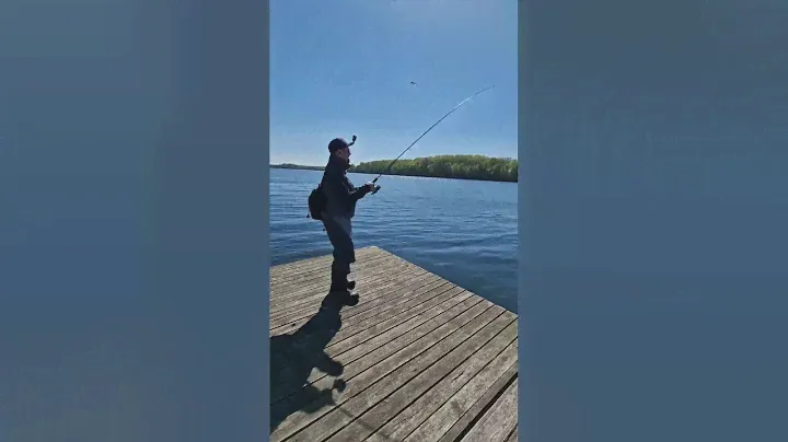 Pike fishing / Shimano stella / Sportex KEV nitro / viral fishing / street fishing